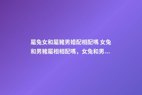 屬兔女和屬豬男婚配相配嗎 女兔和男豬屬相相配嗎，女兔和男豬相配嗎-第1張-觀點-玄機派